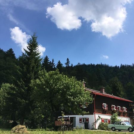 Gatterl Zum See Reit im Winkl Exteriér fotografie