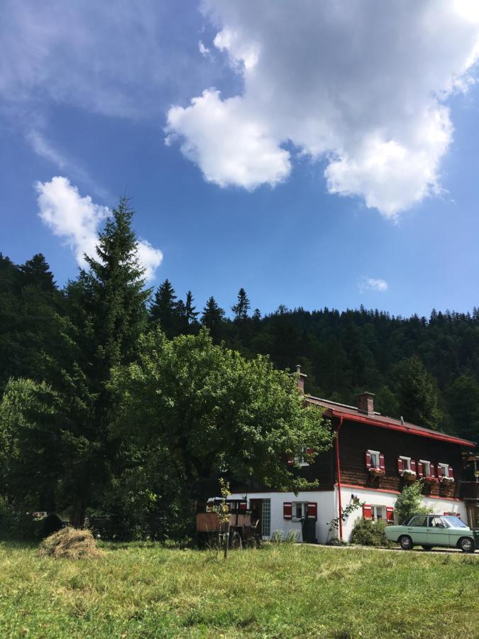 Gatterl Zum See Reit im Winkl Exteriér fotografie