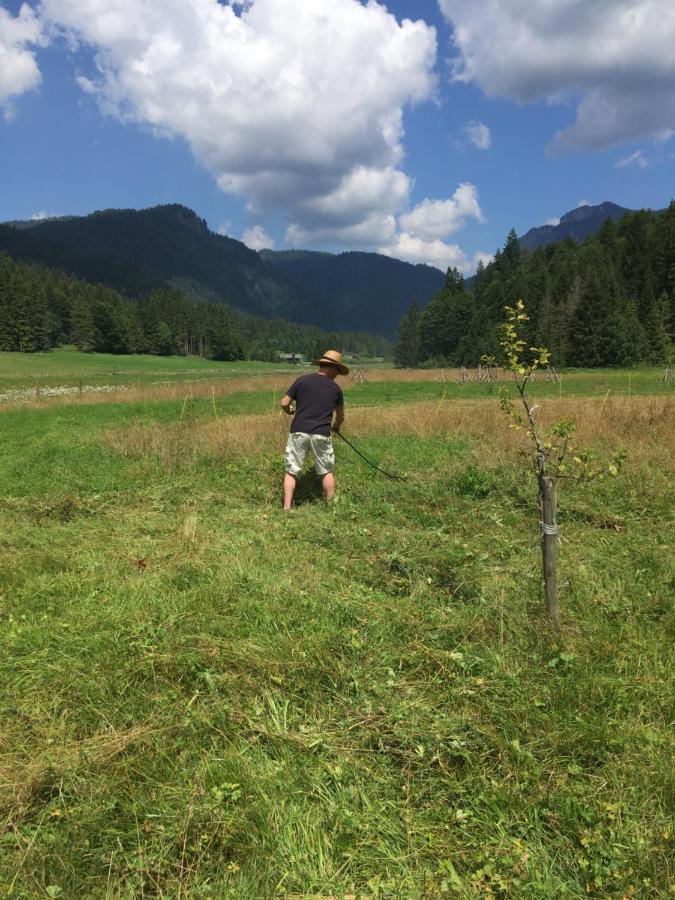 Gatterl Zum See Reit im Winkl Exteriér fotografie