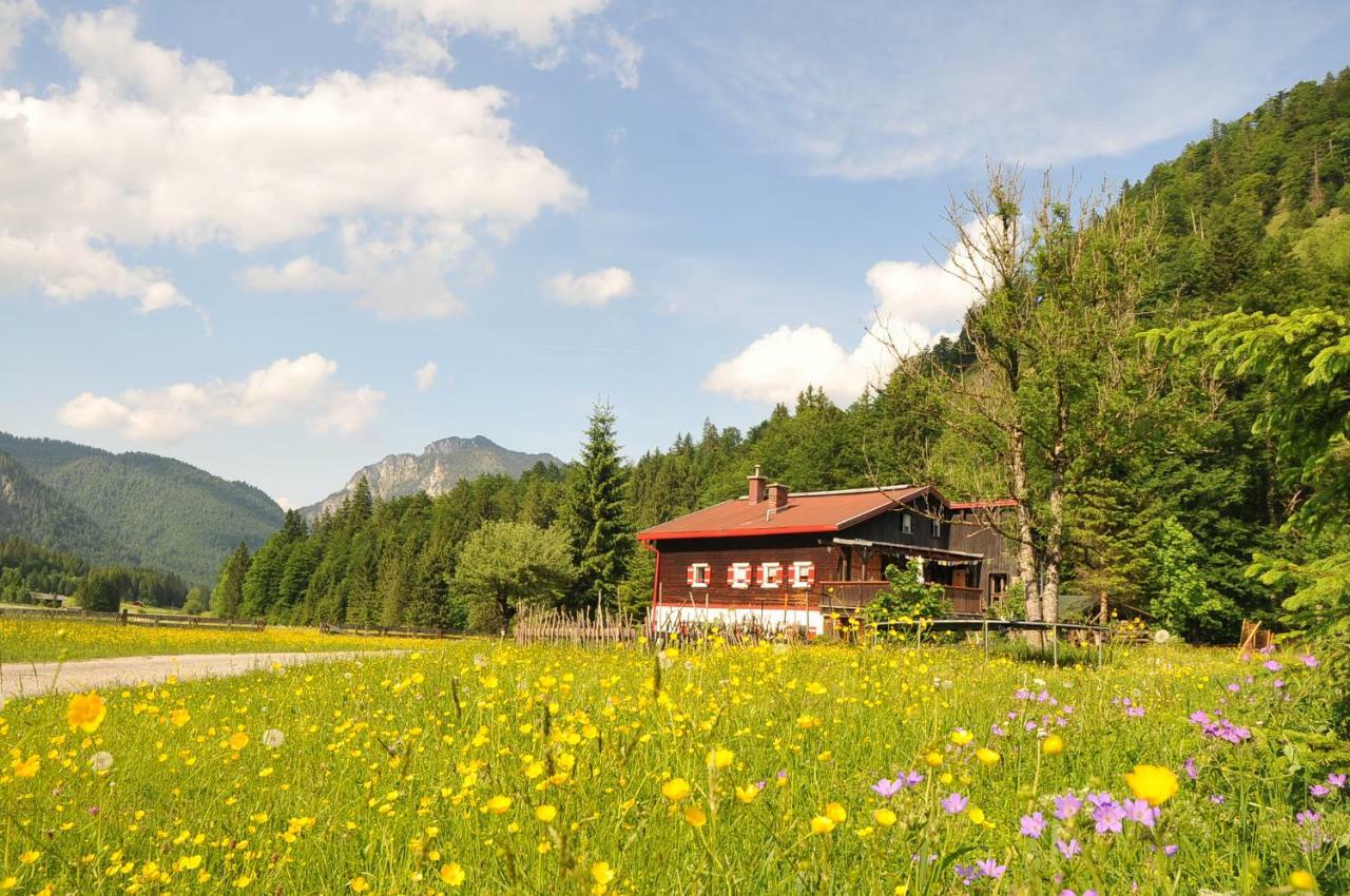 Gatterl Zum See Reit im Winkl Exteriér fotografie