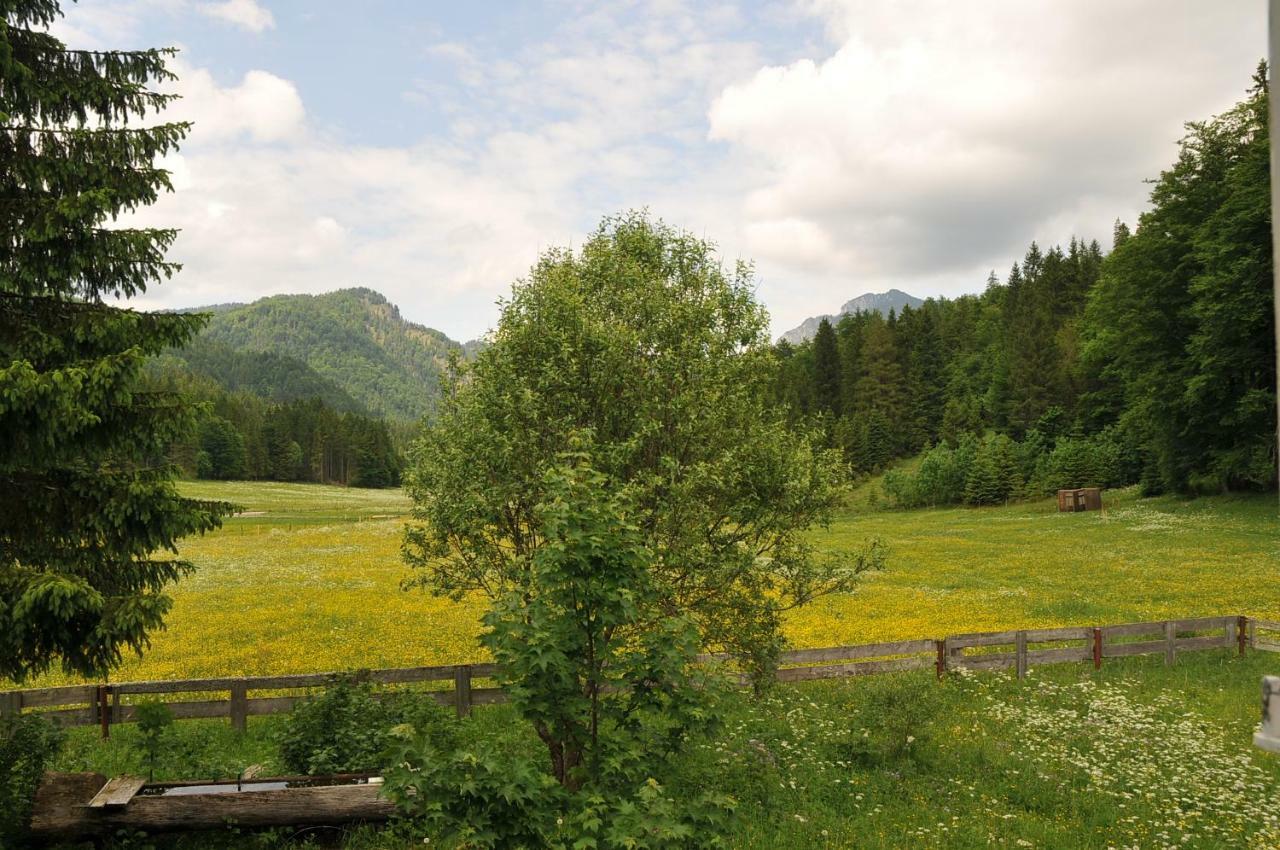 Gatterl Zum See Reit im Winkl Exteriér fotografie