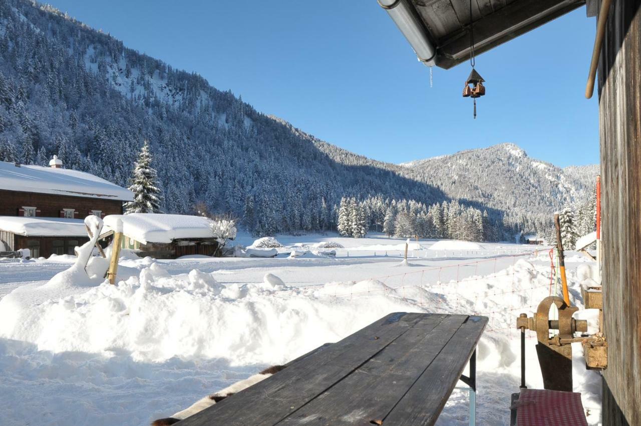 Gatterl Zum See Reit im Winkl Exteriér fotografie